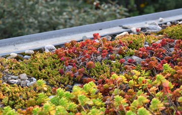 the cost of Ormsaigmore green roof installation