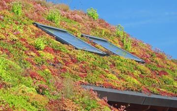 Ormsaigmore living roof systems