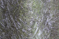 Ormsaigmore fibreglass roof work